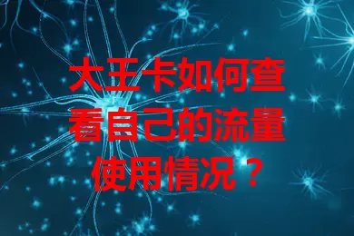 大王卡如何查看自己的流量使用情况？