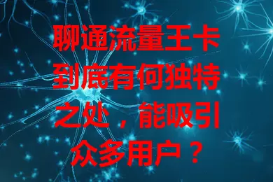 聊通流量王卡到底有何独特之处，能吸引众多用户？