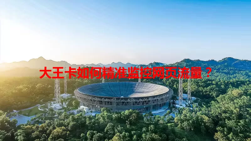 大王卡如何精准监控网页流量？