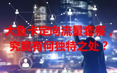 大鱼卡定向流量套餐，究竟有何独特之处？