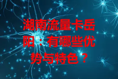 湖南流量卡岳阳：有哪些优势与特色？