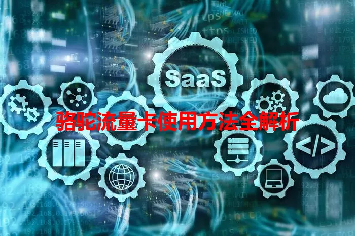 骆驼流量卡使用方法全解析