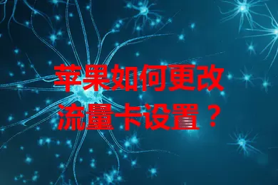 苹果如何更改流量卡设置？