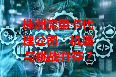 株洲流量卡代理公司：机遇与挑战并存？