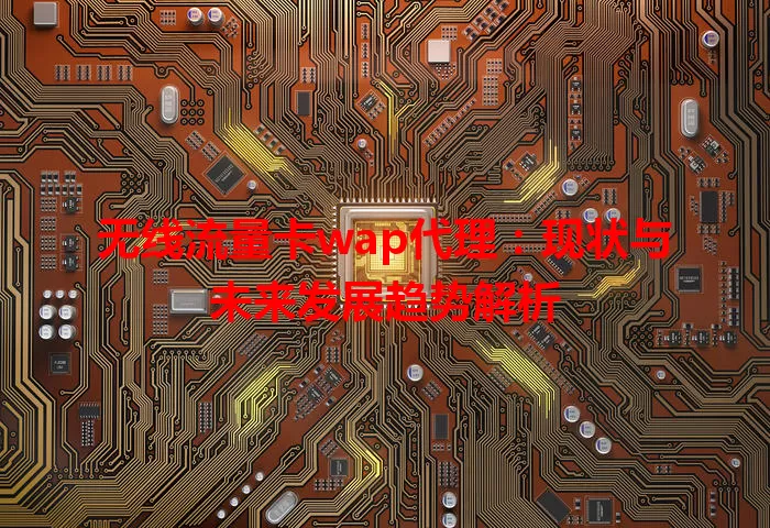 无线流量卡wap代理：现状与未来发展趋势解析