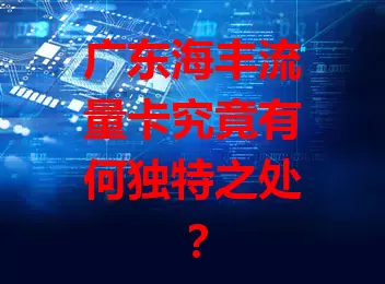 广东海丰流量卡究竟有何独特之处？