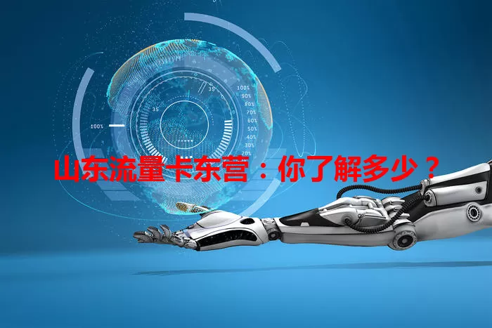 山东流量卡东营：你了解多少？