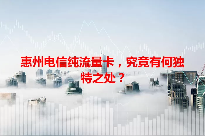 惠州电信纯流量卡，究竟有何独特之处？