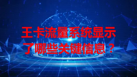 王卡流量系统显示了哪些关键信息？