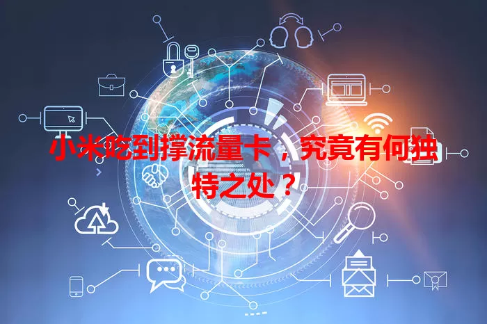 小米吃到撑流量卡，究竟有何独特之处？