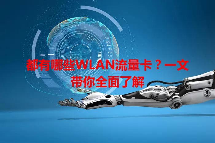 都有哪些WLAN流量卡？一文带你全面了解