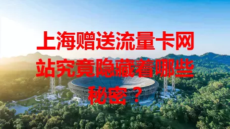 上海赠送流量卡网站究竟隐藏着哪些秘密？