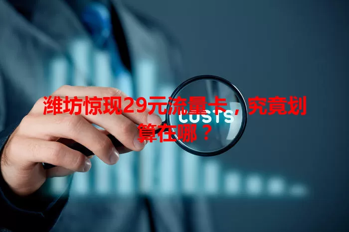 潍坊惊现29元流量卡，究竟划算在哪？