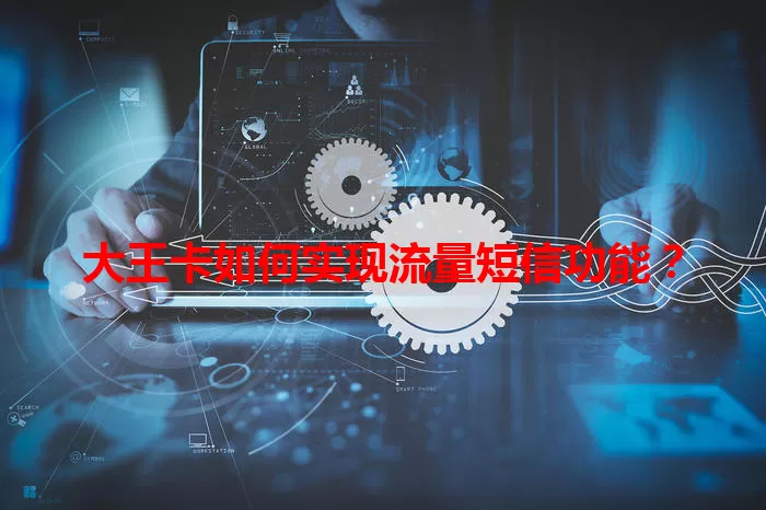 大王卡如何实现流量短信功能？