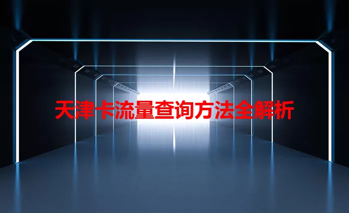 天津卡流量查询方法全解析