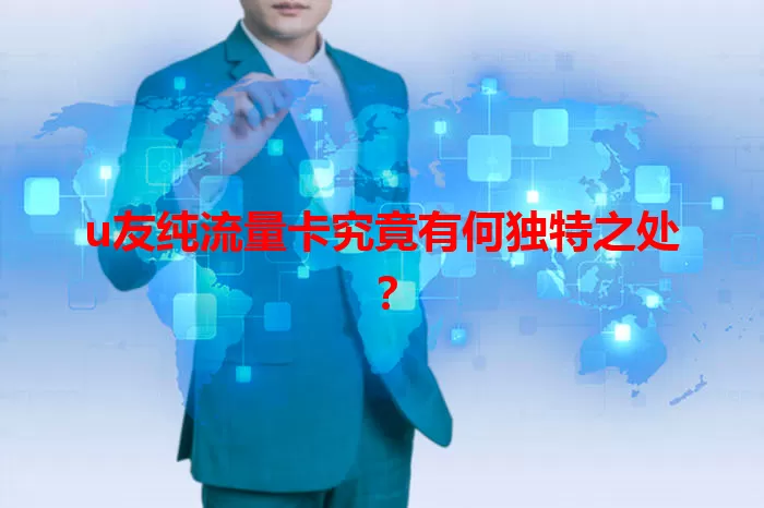 u友纯流量卡究竟有何独特之处？
