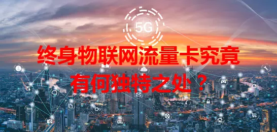 终身物联网流量卡究竟有何独特之处？