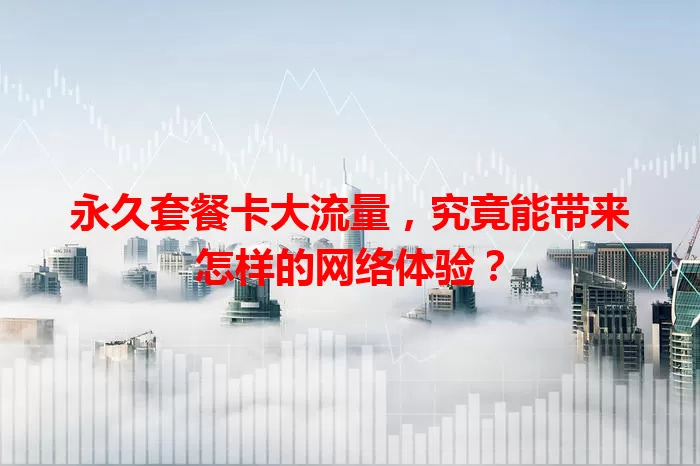 永久套餐卡大流量，究竟能带来怎样的网络体验？