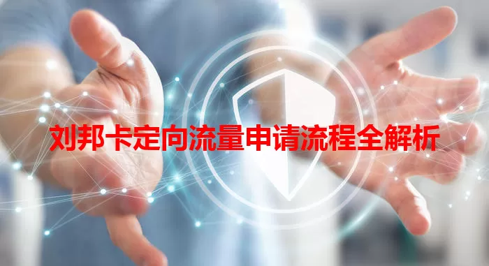 刘邦卡定向流量申请流程全解析