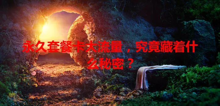 永久套餐卡大流量，究竟藏着什么秘密？