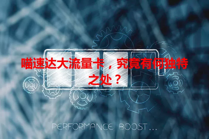 喵速达大流量卡，究竟有何独特之处？