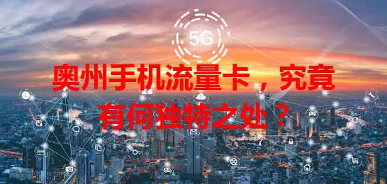 奥州手机流量卡，究竟有何独特之处？