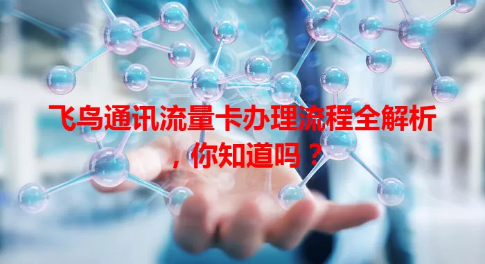 飞鸟通讯流量卡办理流程全解析，你知道吗？