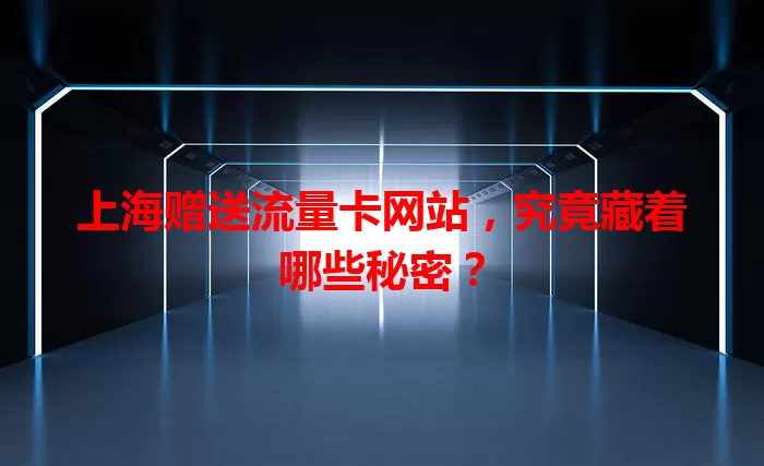 上海赠送流量卡网站，究竟藏着哪些秘密？